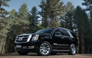 black cadillac escalade at forest